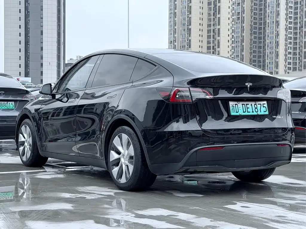 Tesla Model Y — фото 4