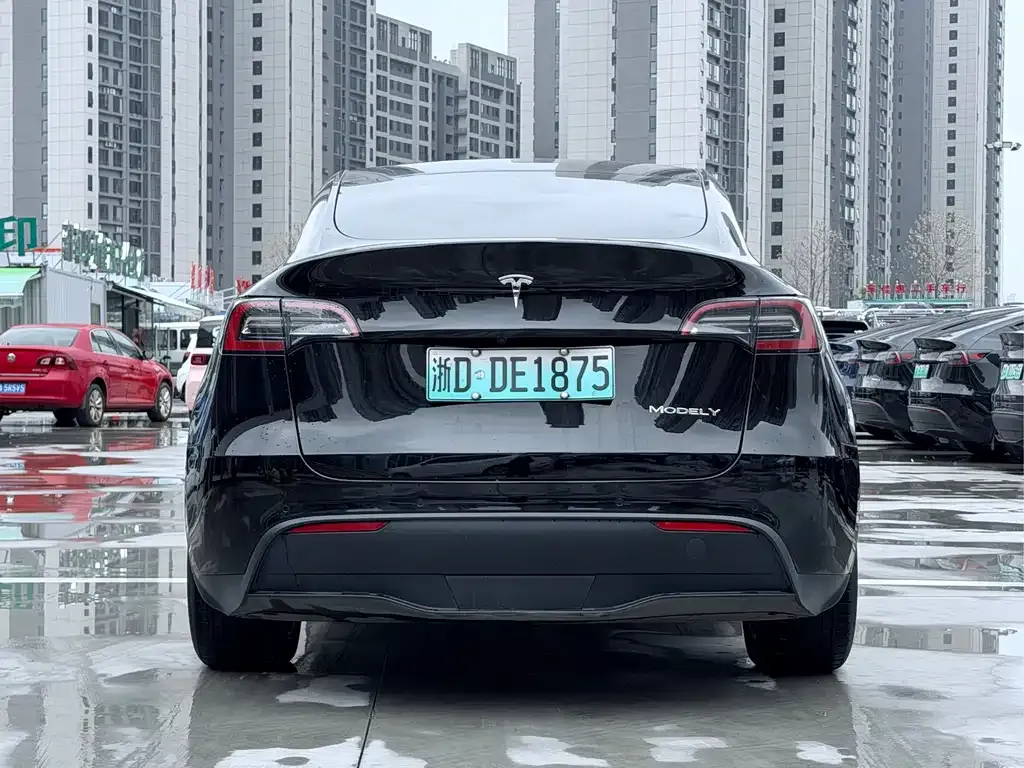Tesla Model Y — фото 9