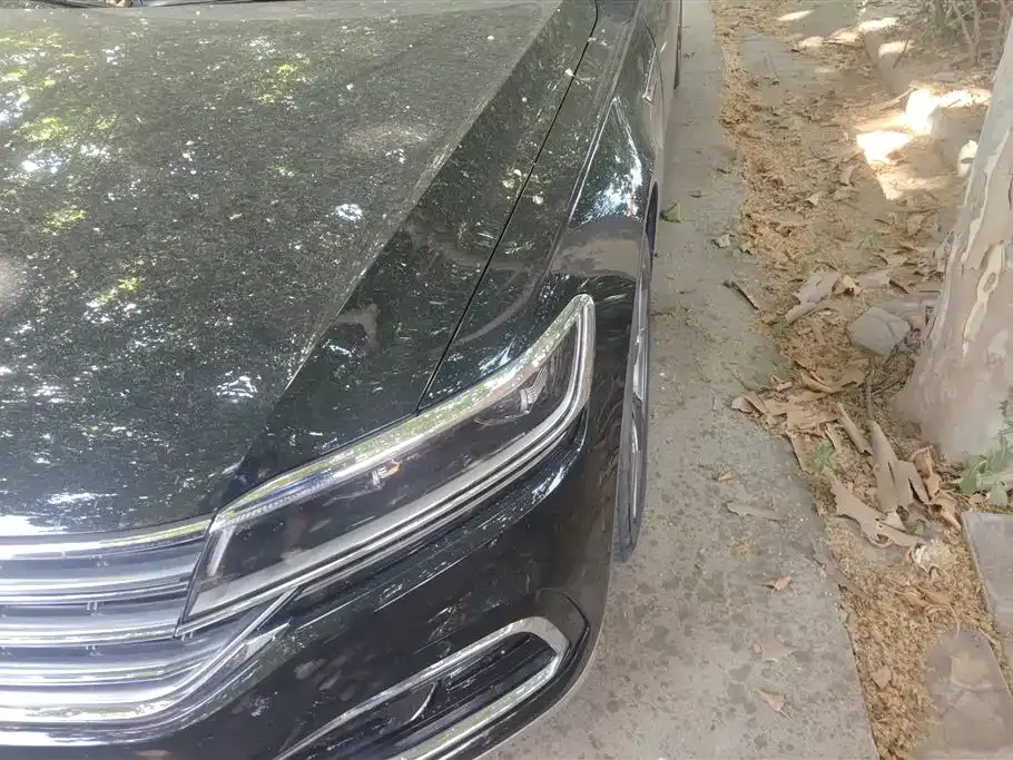 Volkswagen Phideon 2021 из CN, фото 10
