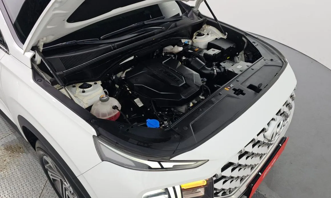 Hyundai Santafe 2021 из KR, фото 5