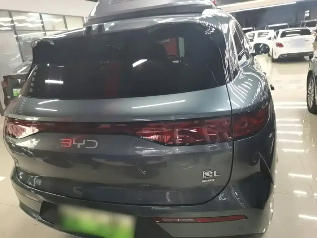 BYD Tang L 2025 из CN, фото 4