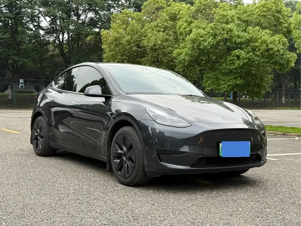 Tesla Model Y — фото 2