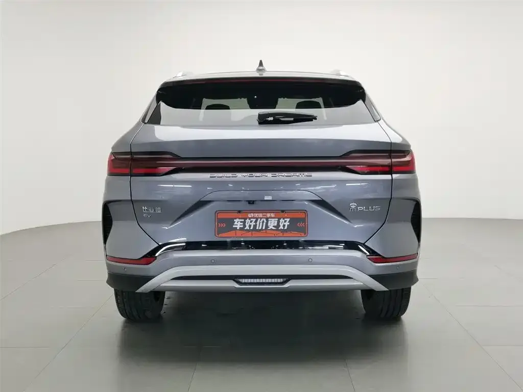 BYD PLUS New Energy — фото 4
