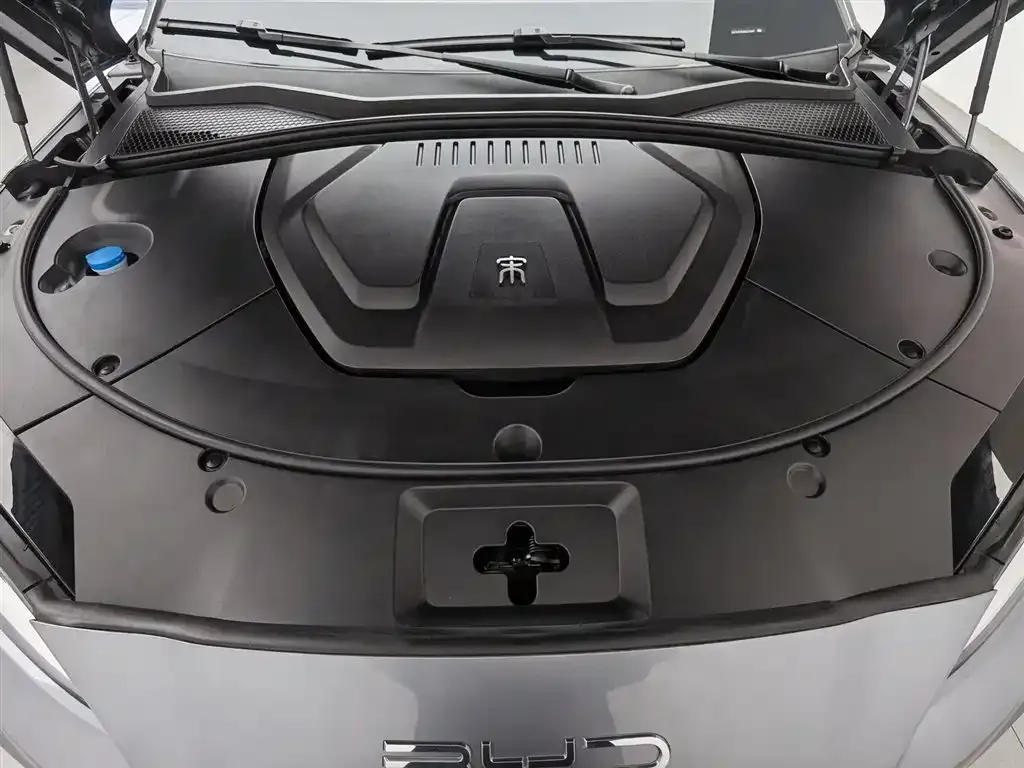 BYD PLUS New Energy — фото 10