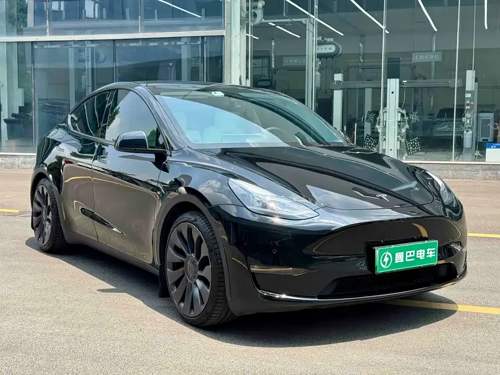 Tesla Model Y — фото 8