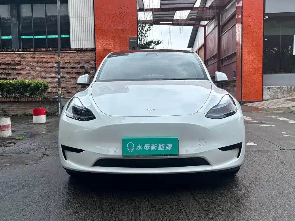 Tesla Model Y — фото 9