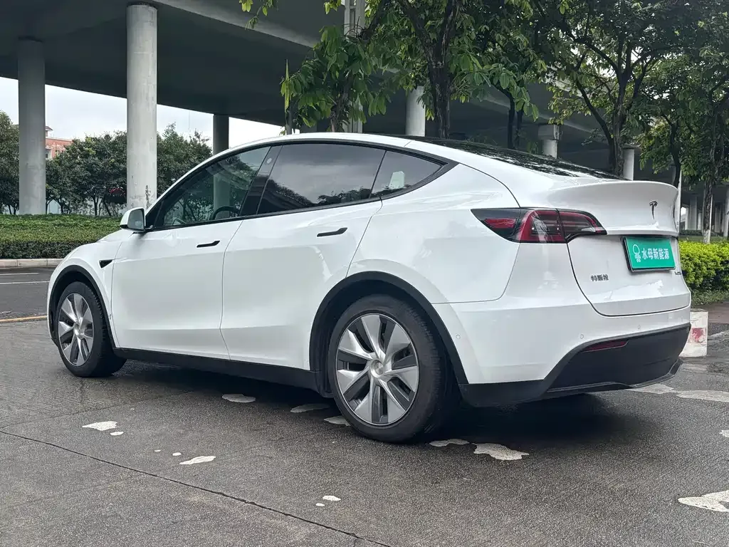 Tesla Model Y — фото 3