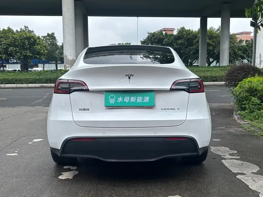 Tesla Model Y — фото 6