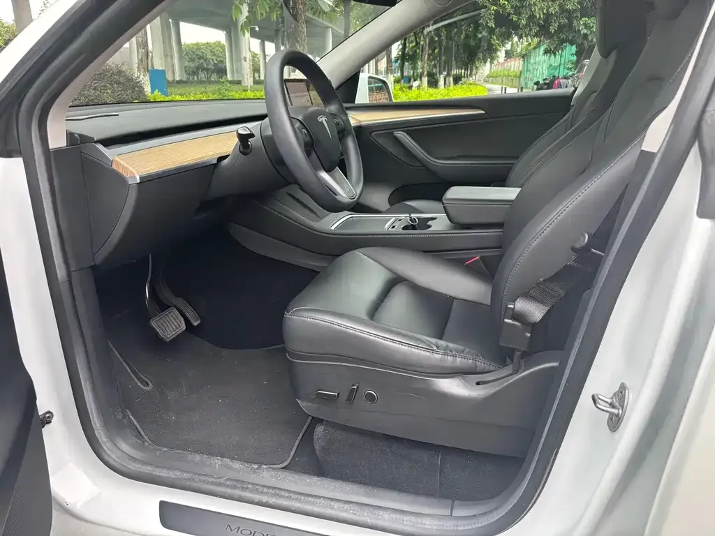Tesla Model Y — фото 10