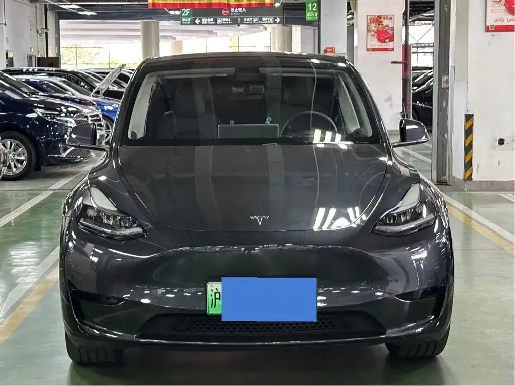 Tesla Model Y — фото 2