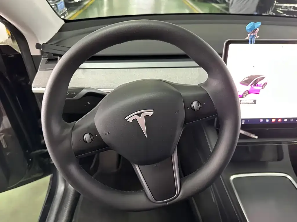 Tesla Model Y — фото 9