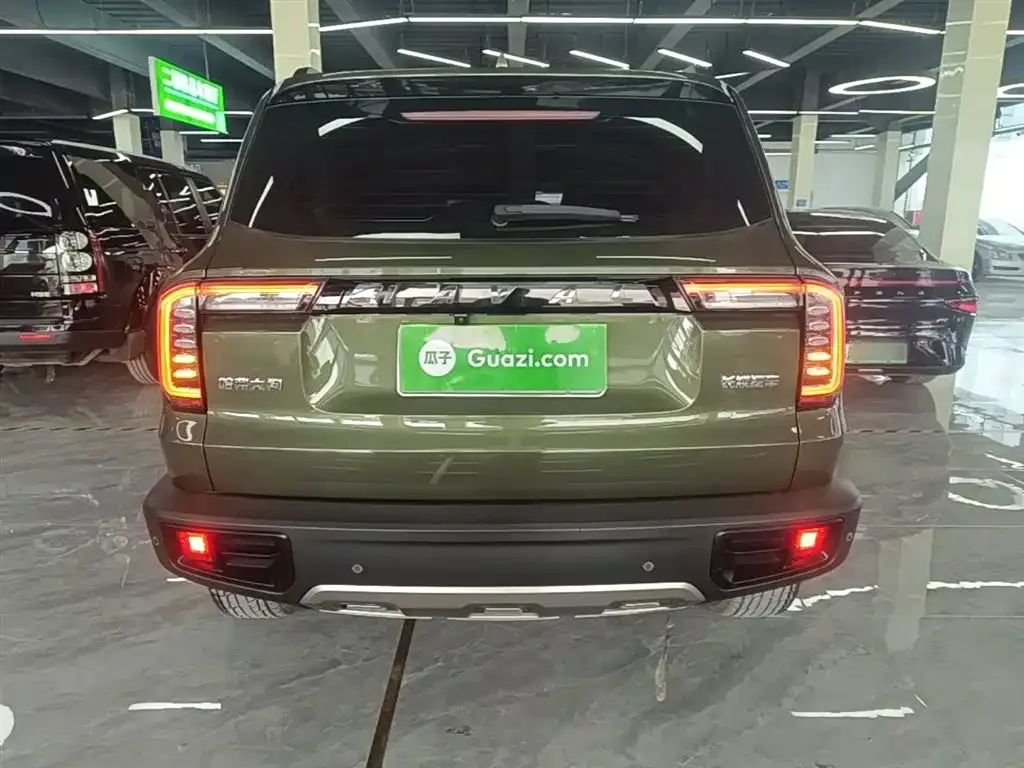 Haval Big Dog 2023 из CN, фото 4