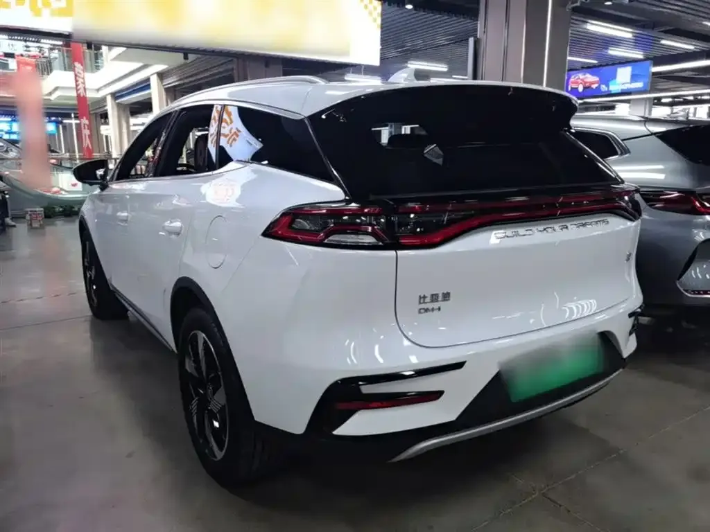 BYD Tang New Energy — фото 10