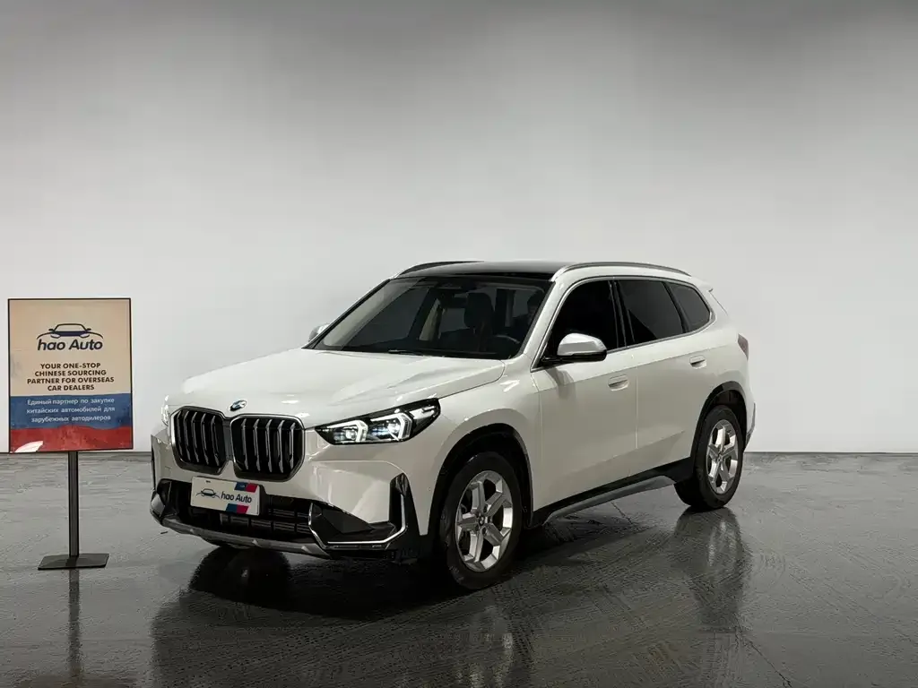 BMW X1 — фото 1