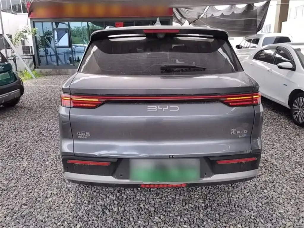 BYD Pro New Energy — фото 6