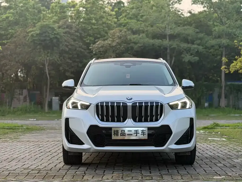 BMW X1 2023 из CN, фото 6