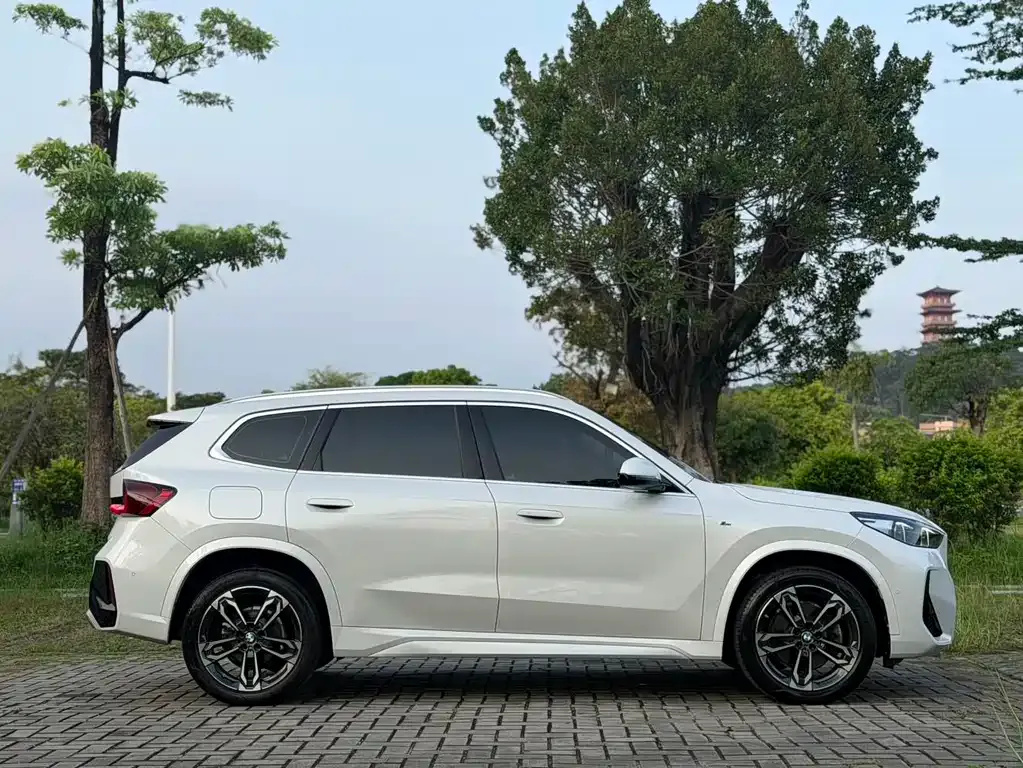 BMW X1 2023 из CN, фото 9