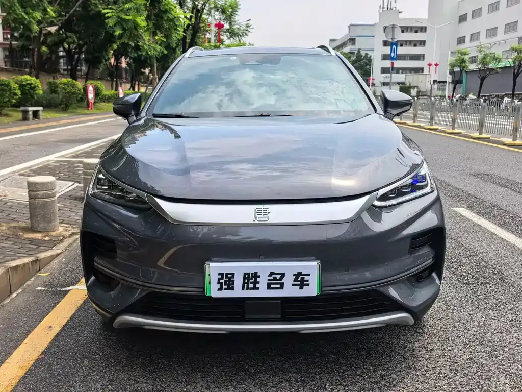 BYD Tang New Energy — фото 4