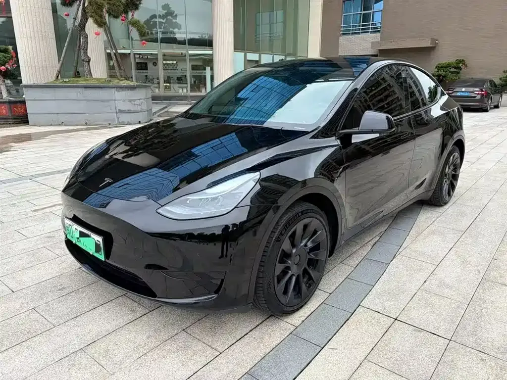 Tesla Model Y — фото 1