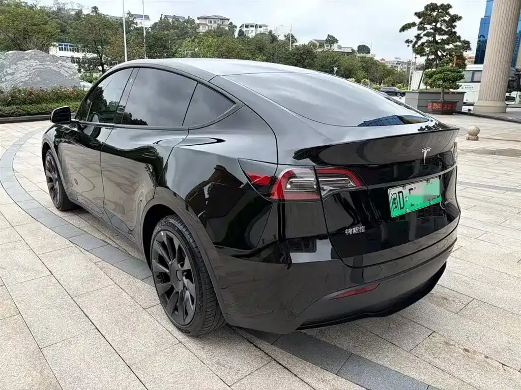 Tesla Model Y — фото 8