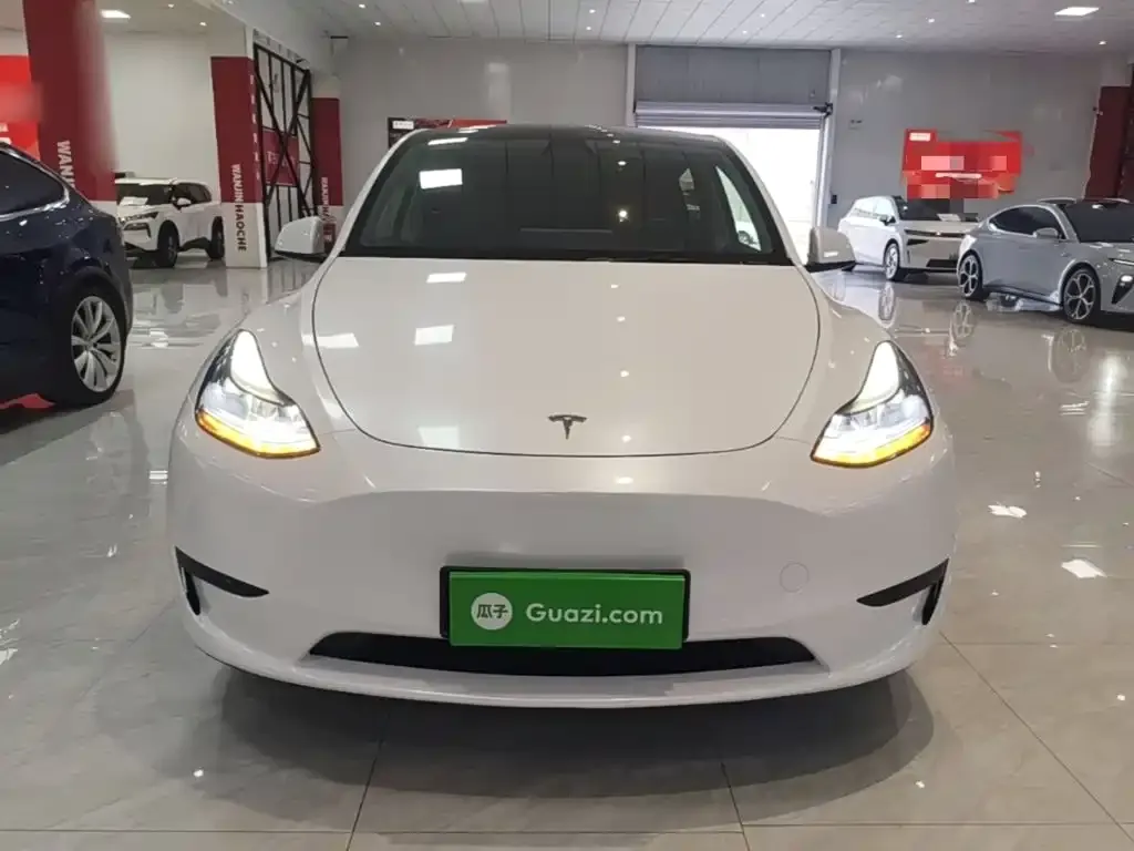 Tesla Model Y — фото 6