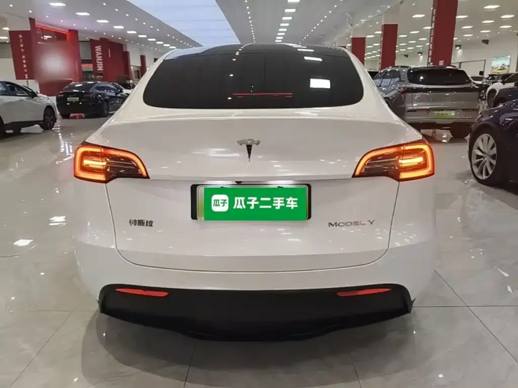 Tesla Model Y — фото 2