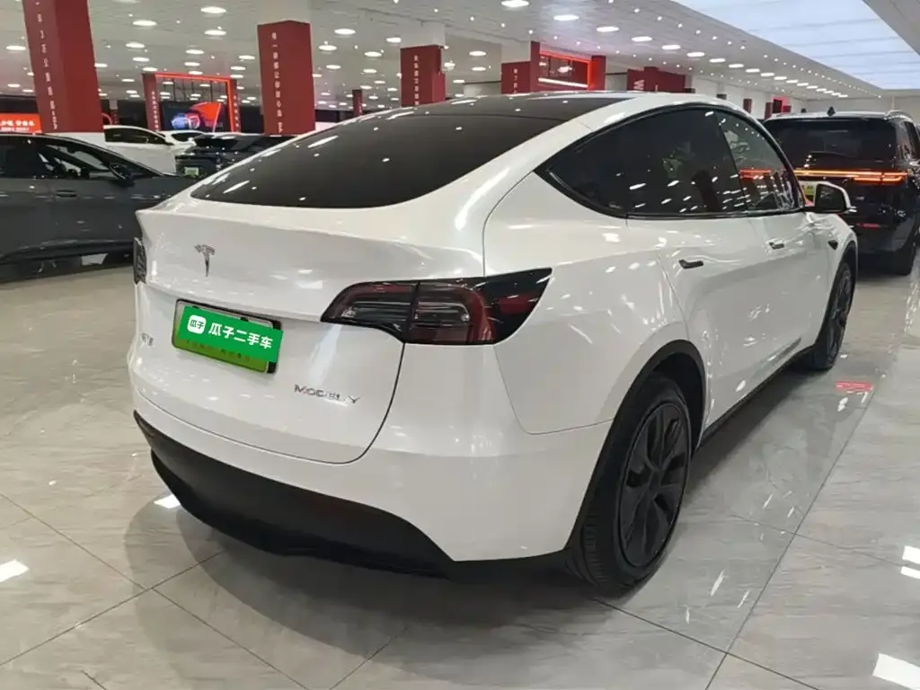 Tesla Model Y — фото 10