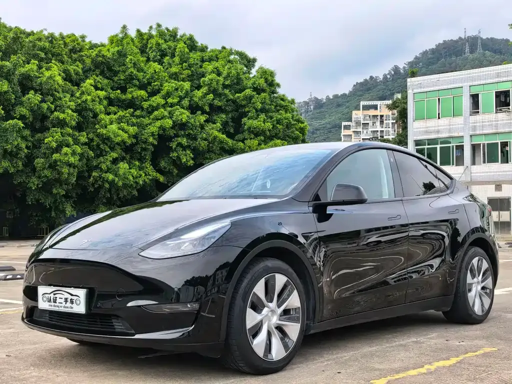 Tesla Model Y — фото 1