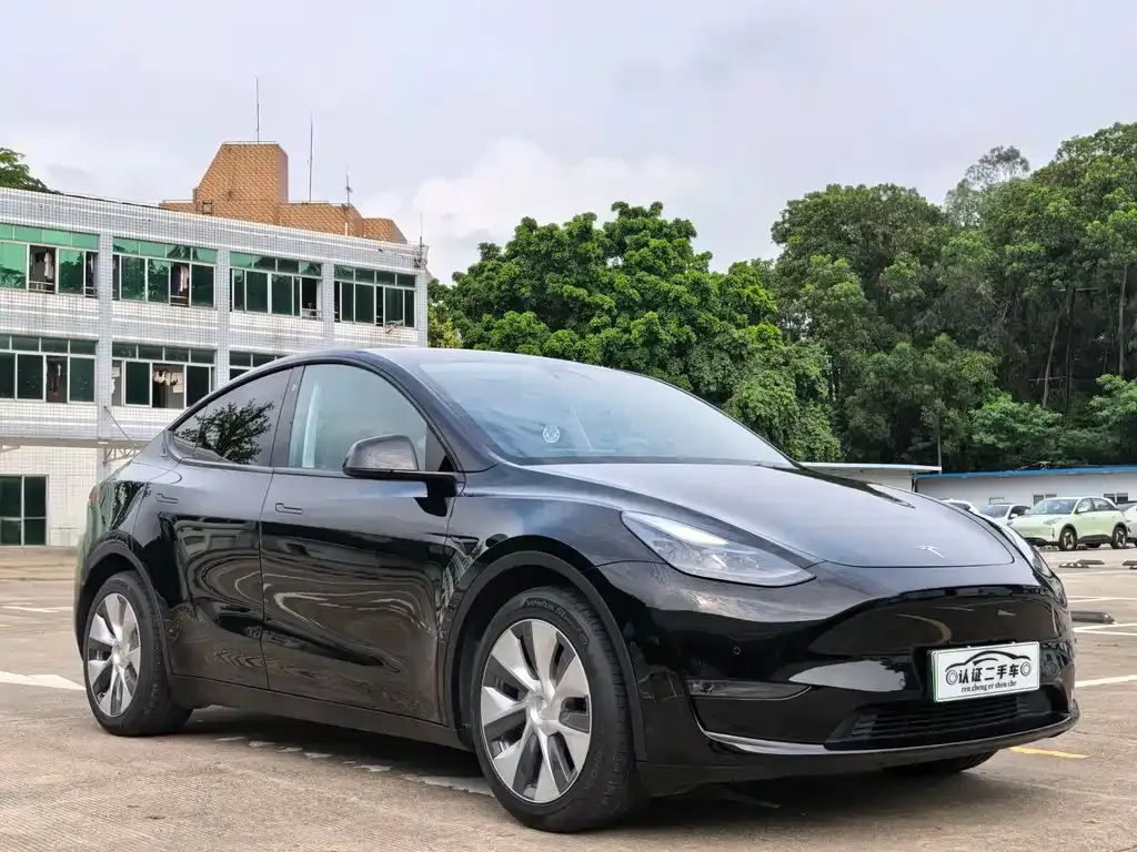 Tesla Model Y — фото 6