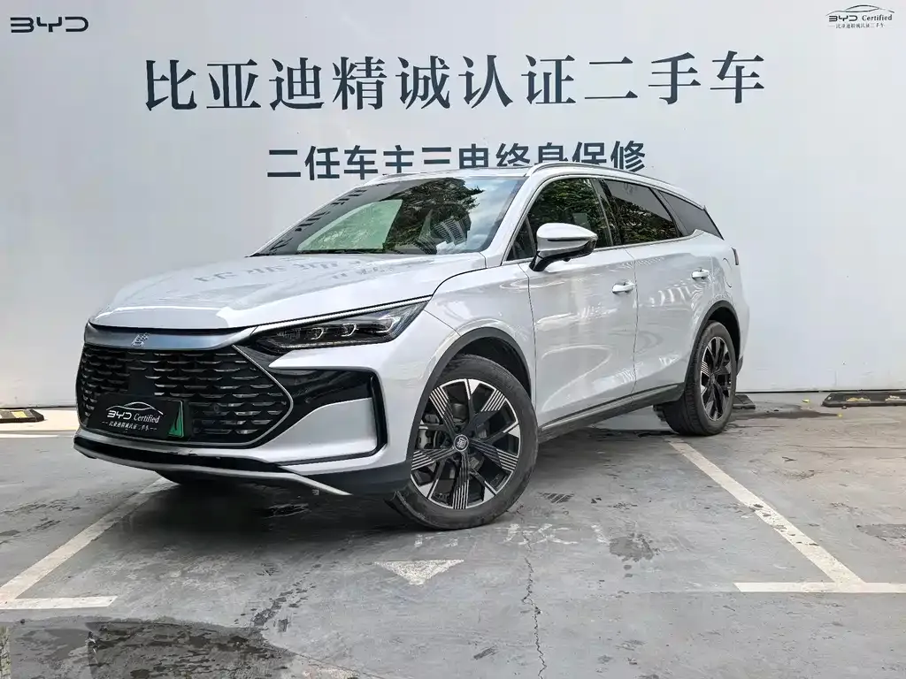 BYD Tang New Energy — фото 1