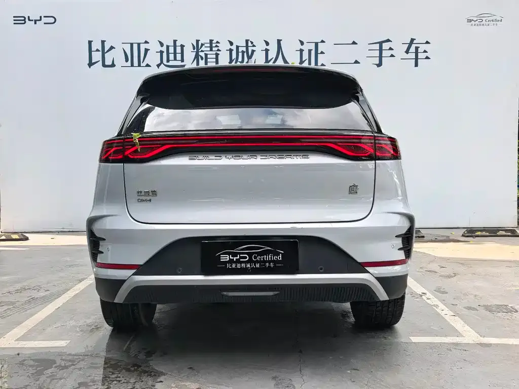 BYD Tang New Energy — фото 4