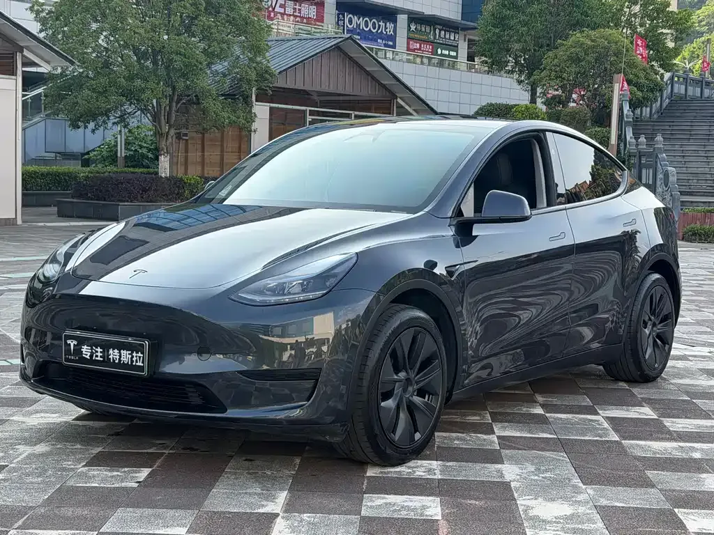 Tesla Model Y — фото 1