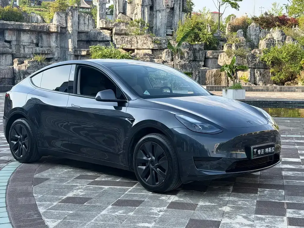 Tesla Model Y — фото 7