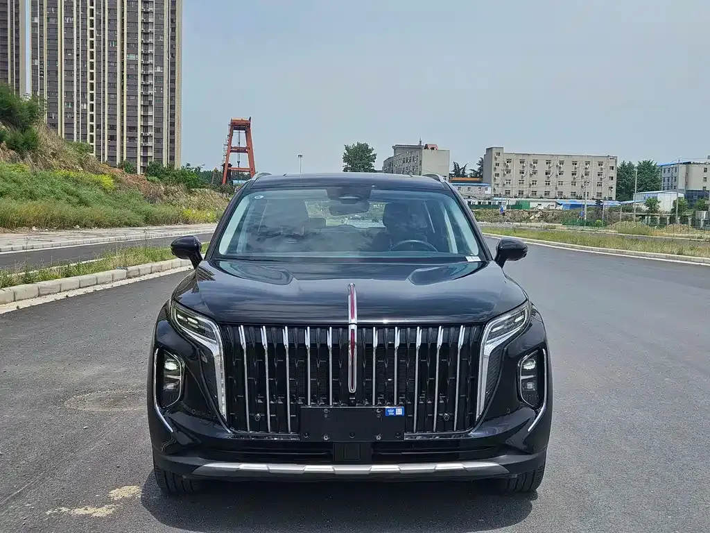 Hongqi HS7 PHEV 2024 из CN, фото 9