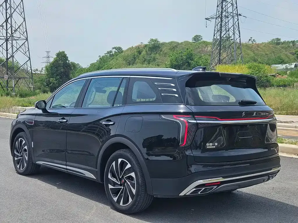 Hongqi HS7 PHEV 2024 из CN, фото 10