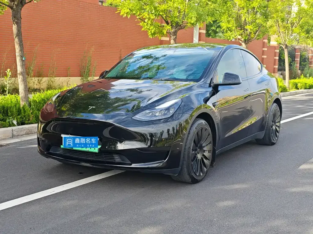 Tesla Model Y — фото 1