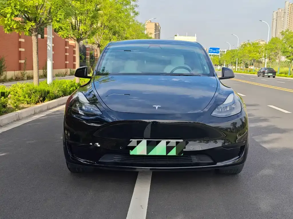 Tesla Model Y — фото 10