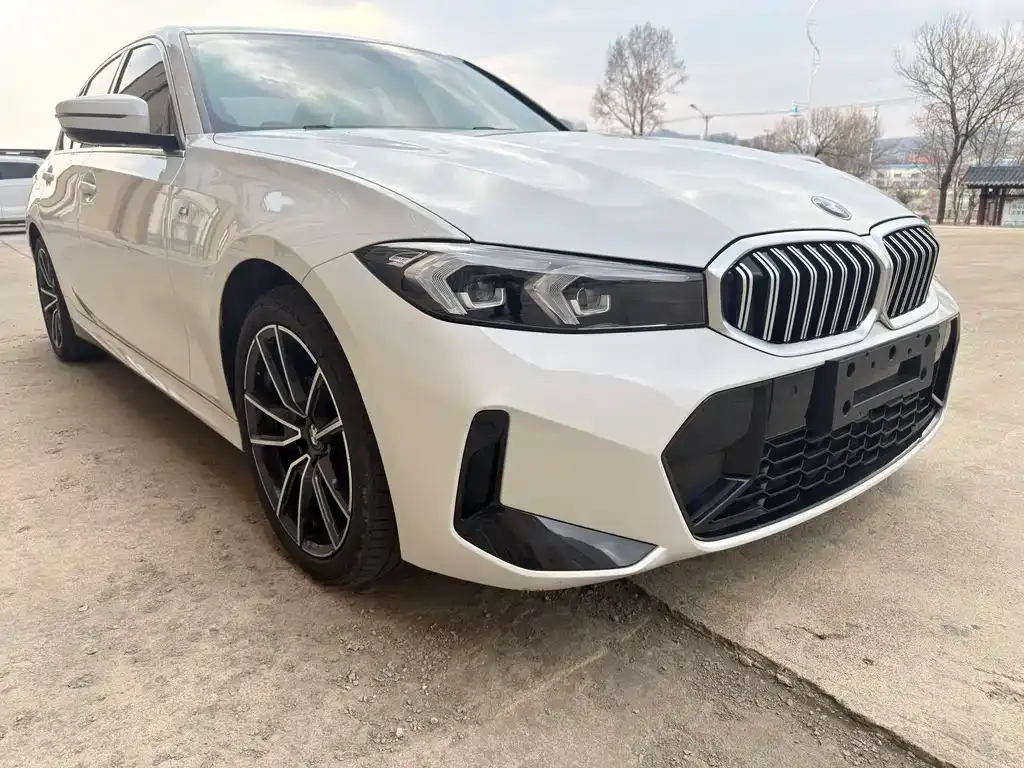 BMW 3 Series 2023 из CN, фото 6