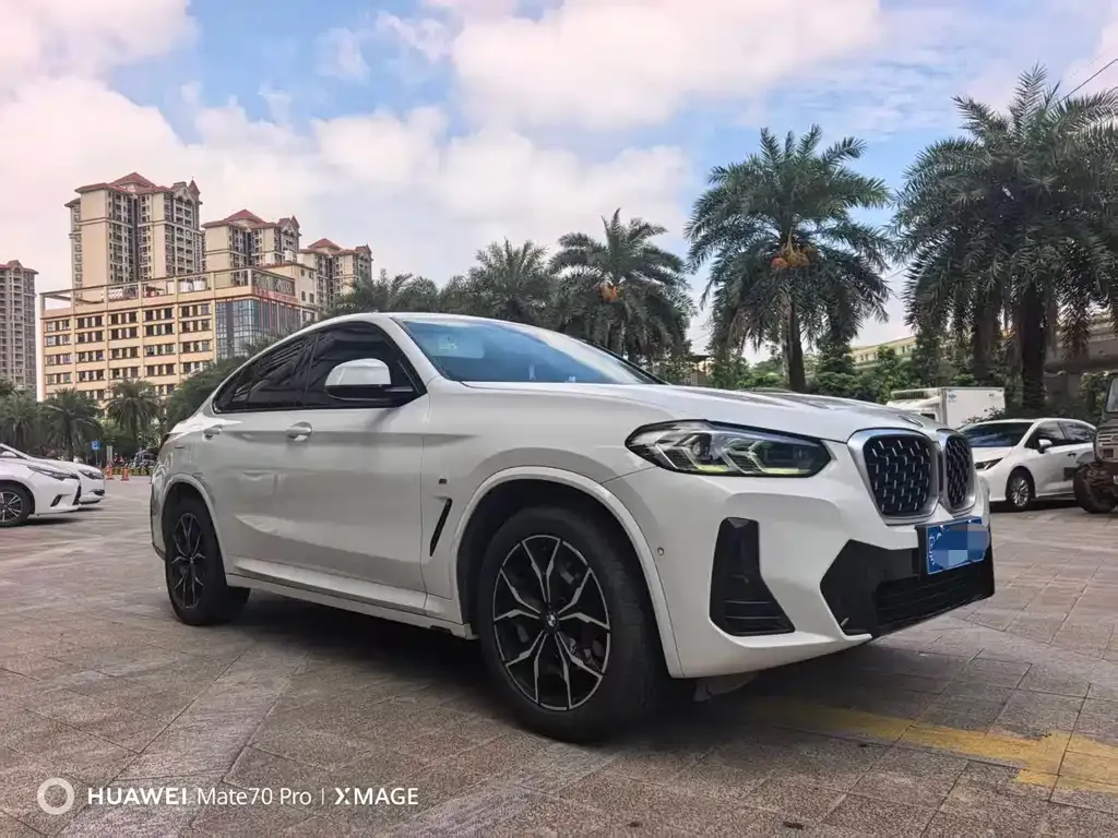 BMW X4 2022 из CN, фото 4