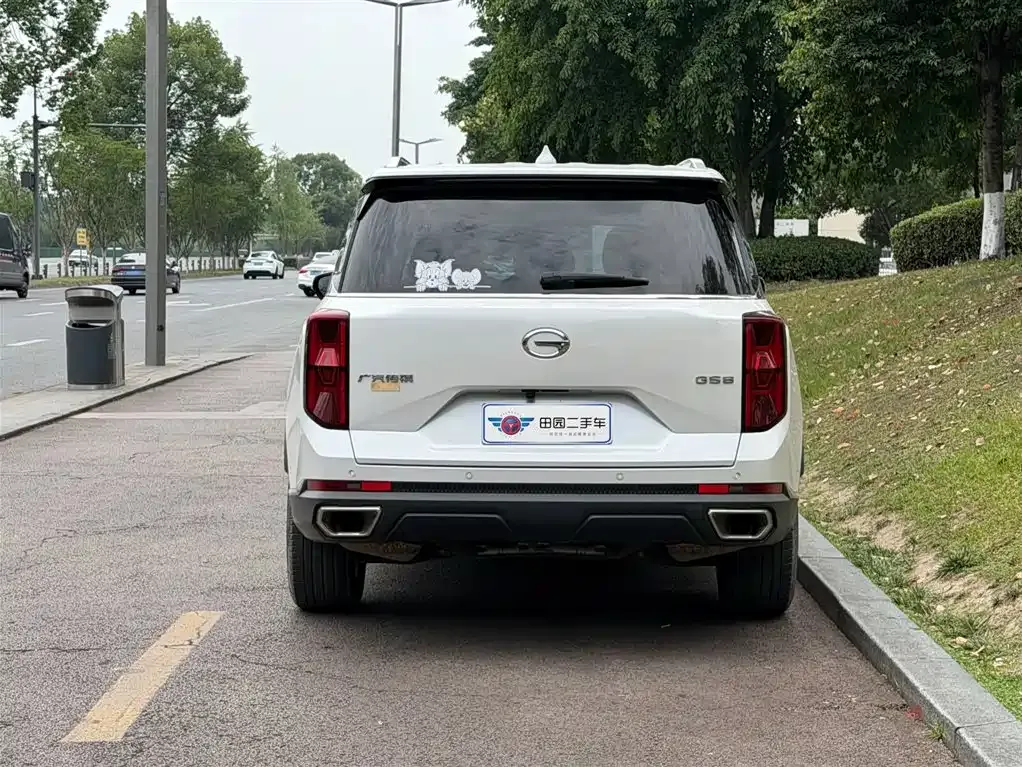 GAC Motor Trumpchi GS8 2024 из CN, фото 6