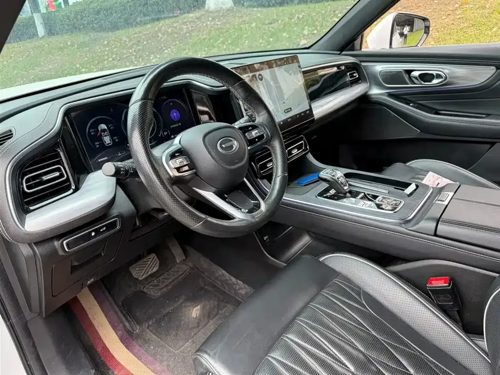 GAC Motor Trumpchi GS8 2024 из CN, фото 8