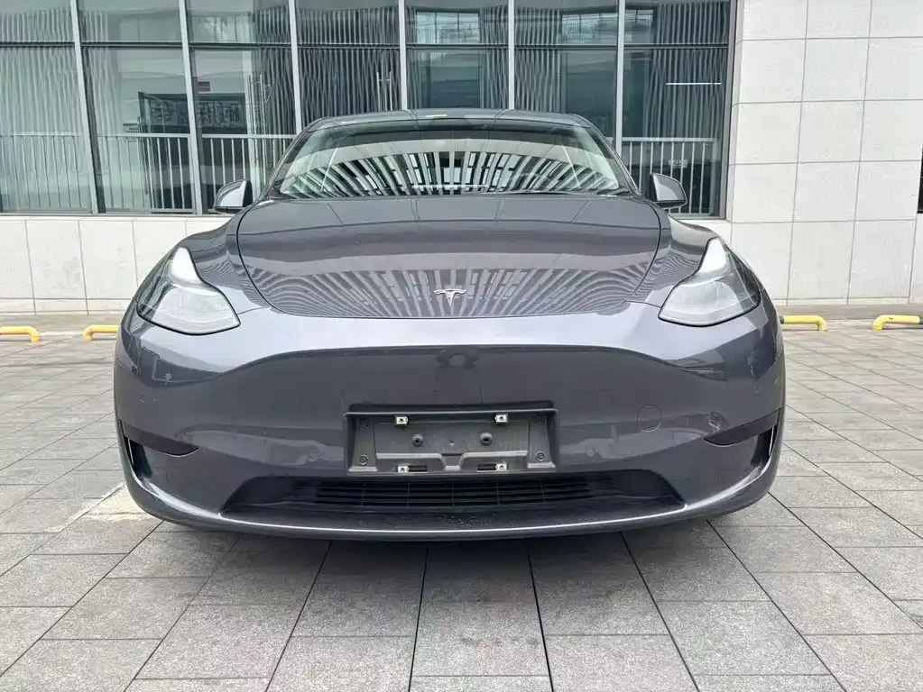 Tesla Model Y — фото 10