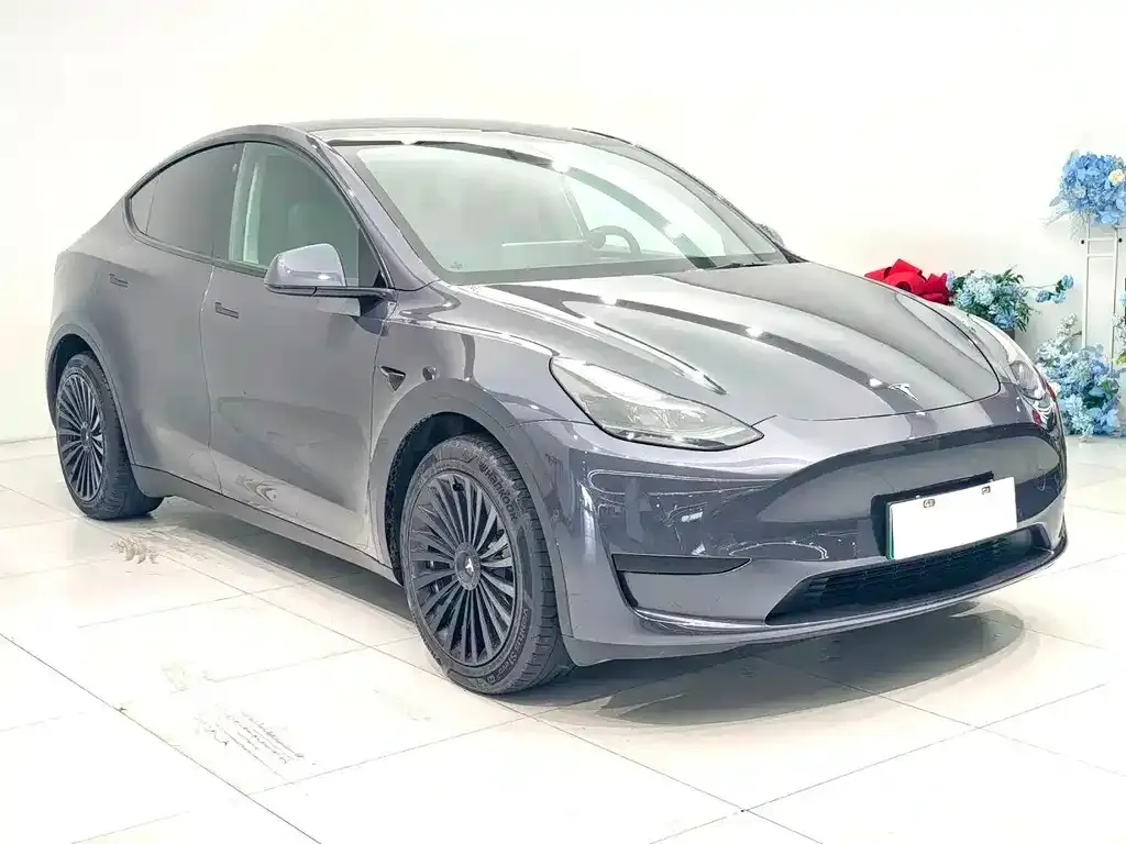Tesla Model Y — фото 2