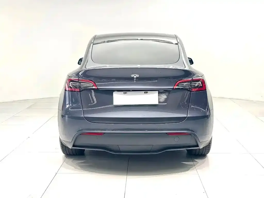 Tesla Model Y — фото 5