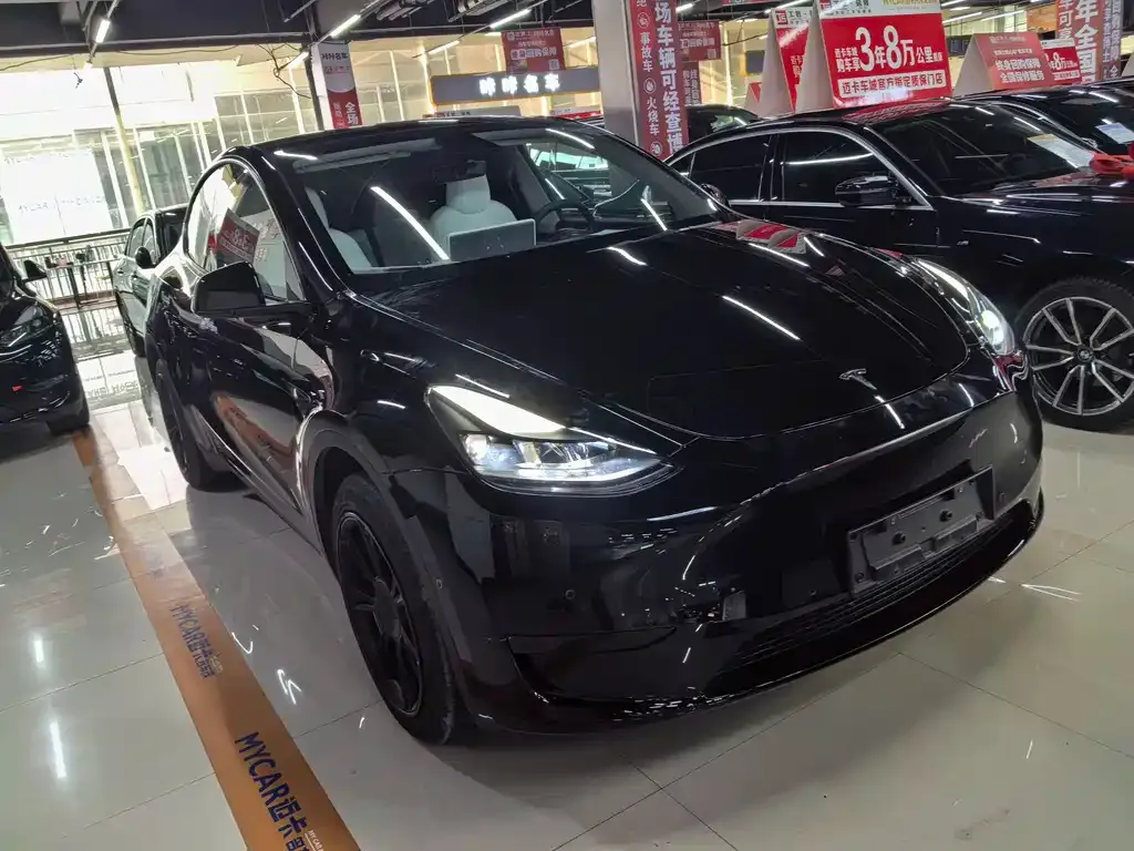 Tesla Model Y — фото 1