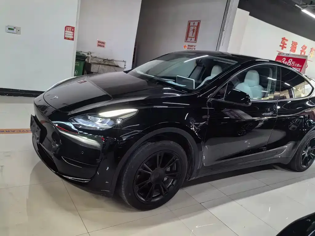 Tesla Model Y — фото 3
