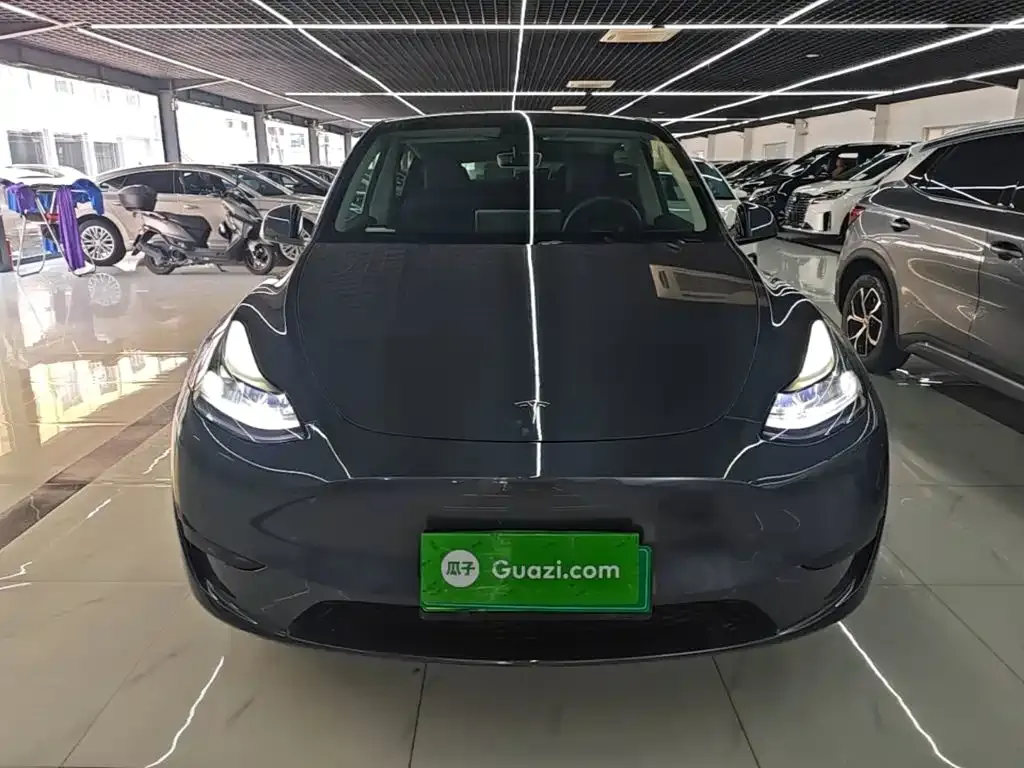 Tesla Model Y — фото 10