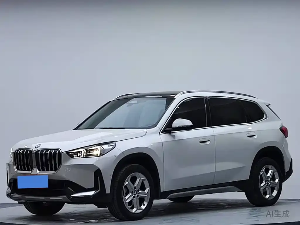 BMW X1 2024 из CN, фото 8