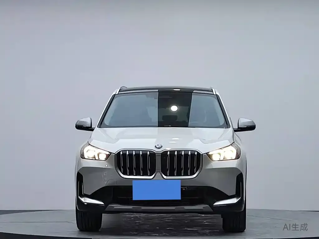 BMW X1 2024 из CN, фото 4