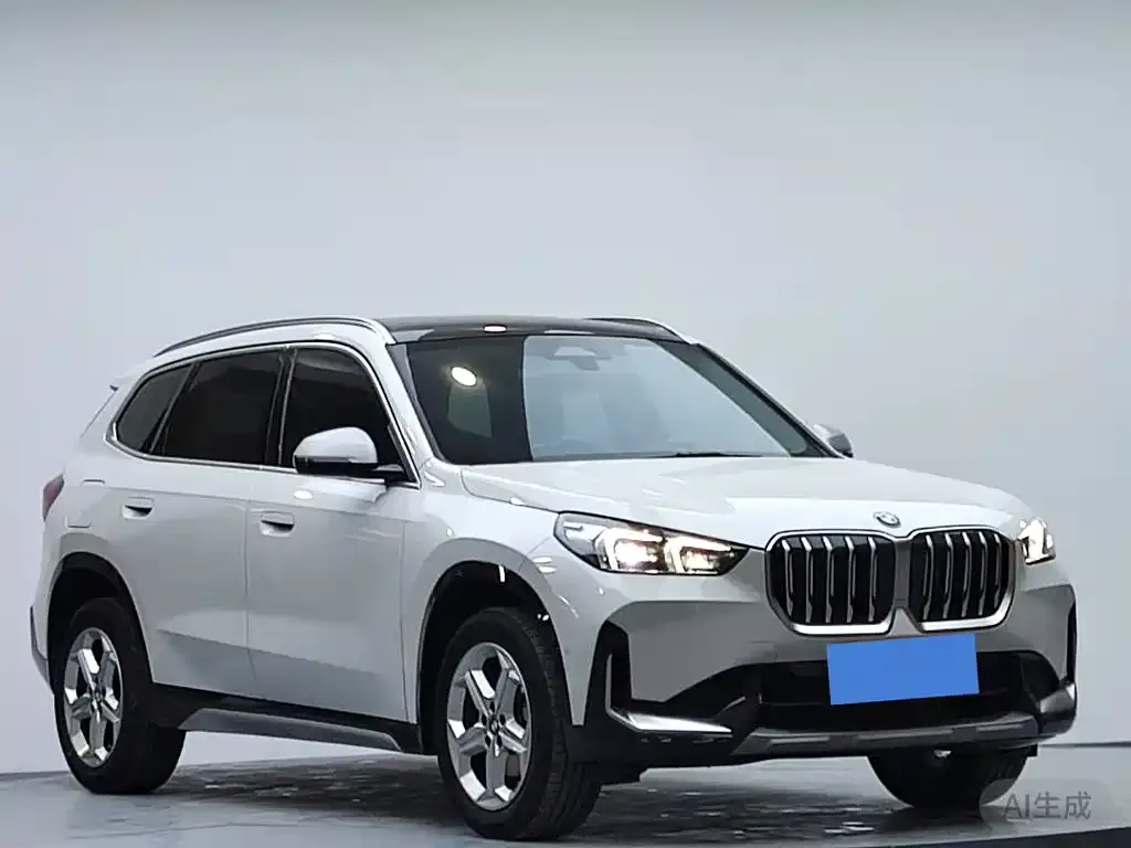 BMW X1 2024 из CN, фото 7